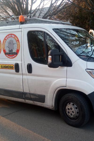 Bugbuster Autódekor